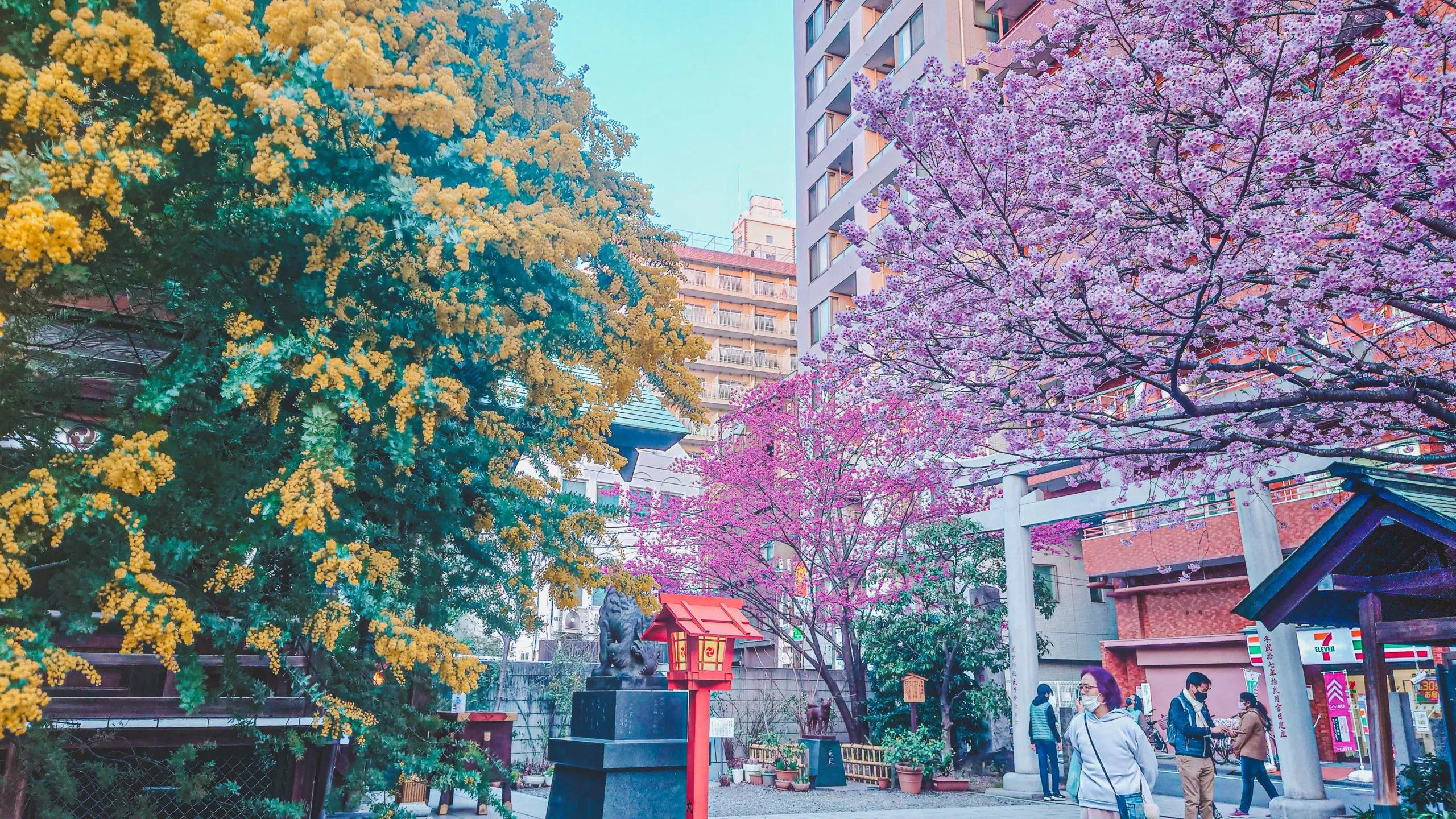 ⛩️ 쿠라마에 신사(蔵前神社) 이미지 8